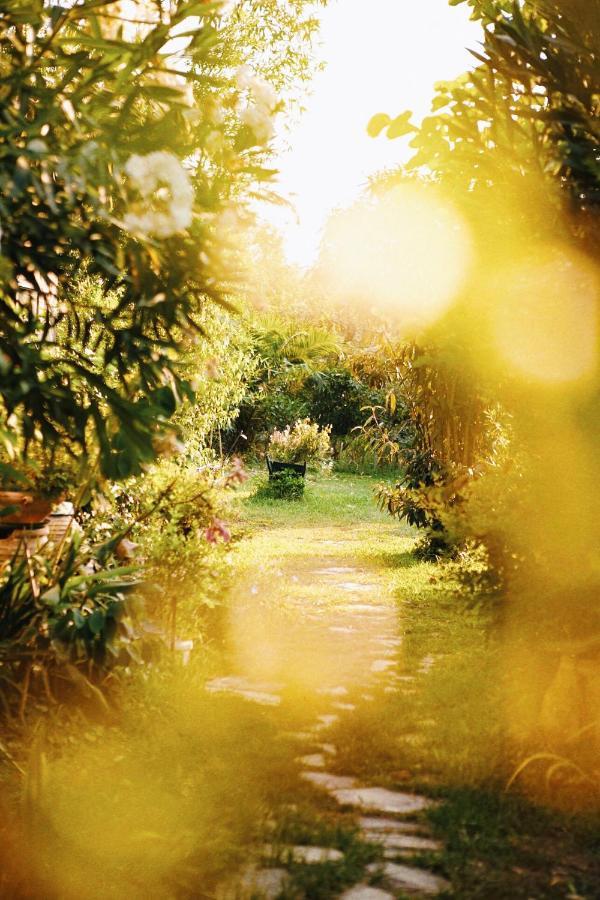 The Artist'S Farm Villa Dhiyeliotika Ngoại thất bức ảnh
