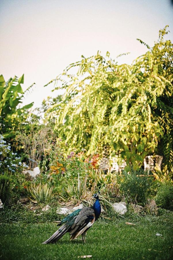 The Artist'S Farm Villa Dhiyeliotika Ngoại thất bức ảnh